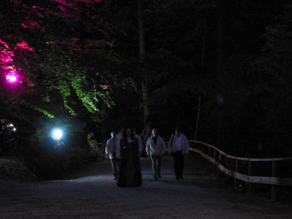 Durch den wilden Tann ...
Geleitet von den attraktiven Burgfräuleins wurden die Besucher in kleinen Gruppen durch den unheimlichen, romantisch beleuchteten, musikbeschallten Wald zur Burg geführt.